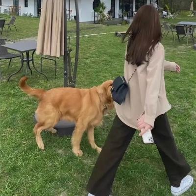 婚礼搞轰趴